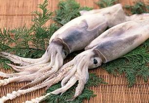 鱿鱼最新爆料视频大全图片,视频大全图片揭秘幕后真相